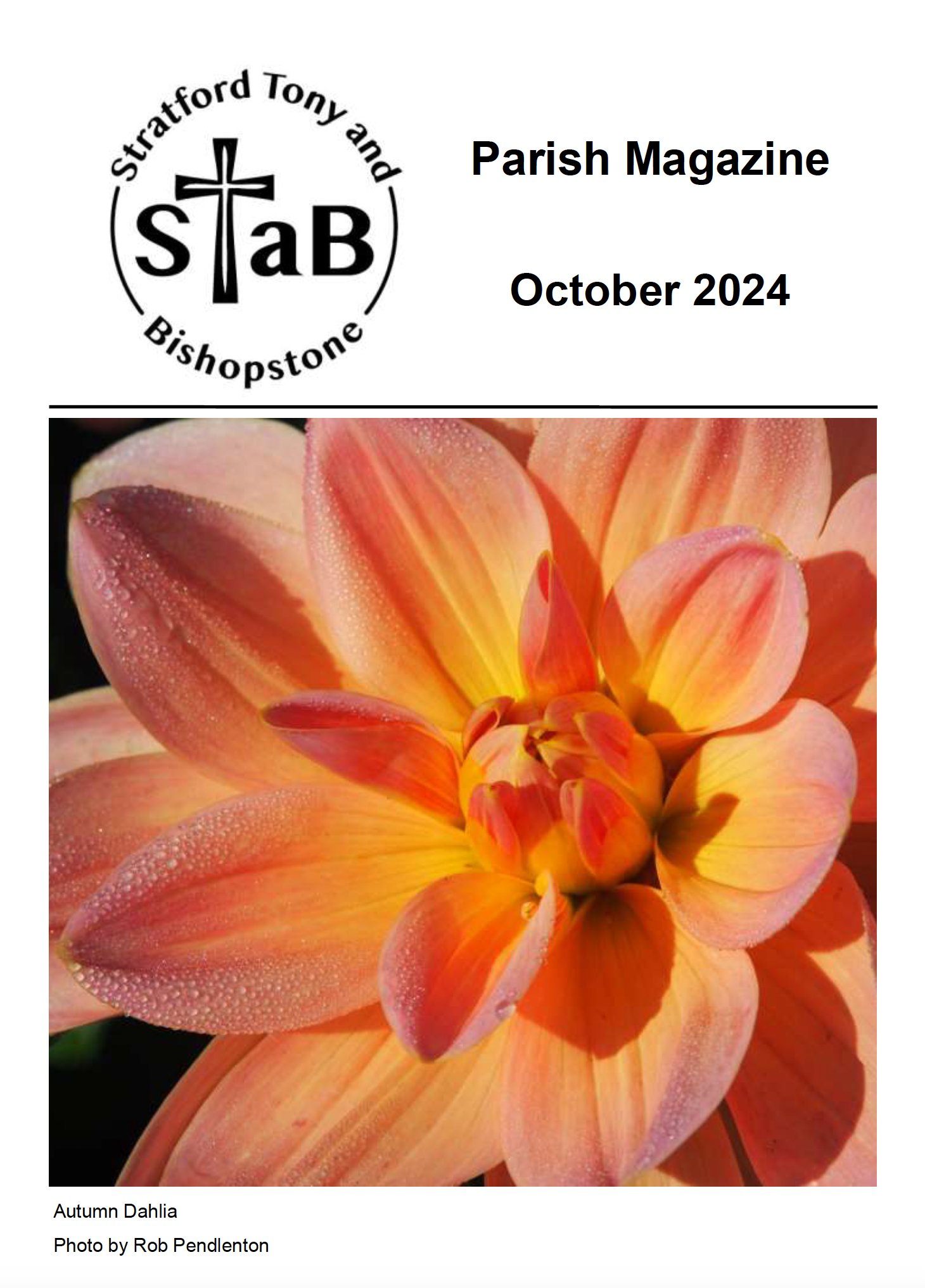 Cover of STaB October 2024